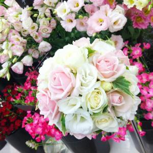 iphoneで♪｜「花政」　（神奈川県小田原市の花キューピット加盟店 花屋）のブログ
