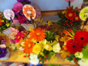 秋のイベント｜「花政」　（神奈川県小田原市の花キューピット加盟店 花屋）のブログ